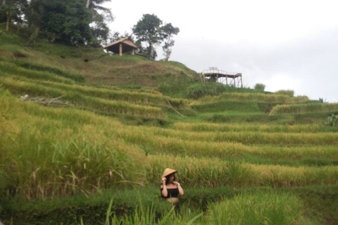 Experience Full Day to Bali Swing Temple and Monkey Forest - What’s Included and What’s Not