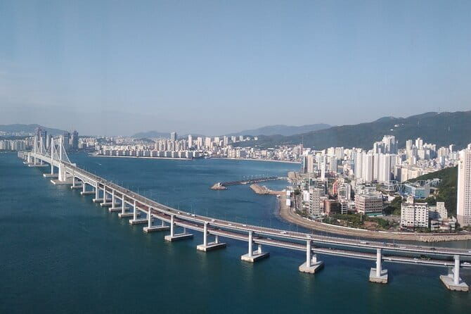 Explore DMZ from Seoul with Gondola and Suspension Bridge Option - Who Should Book This Tour?