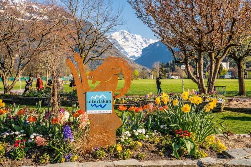 Explore Swiss Villages: Interlaken-Grindelwald(Private Tour) - FAQ