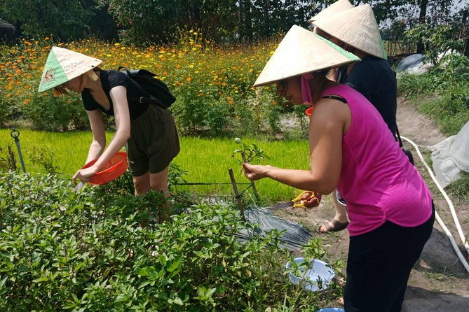Farm-To-Table Healthy Cooking Class in Ho Chi Minh City - FAQ