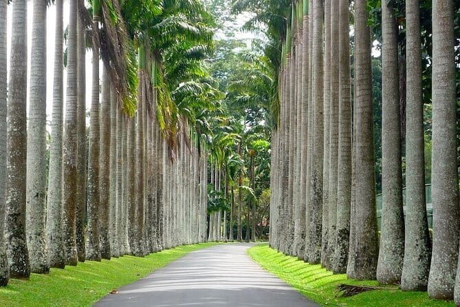 From Colombo Airport to Sigiriya or Kandy Private Transfer - Flexibility & Customization