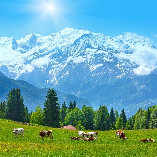From Geneva: Chamonix Mont-Blanc Private Day Trip - Who Would Love This Tour?