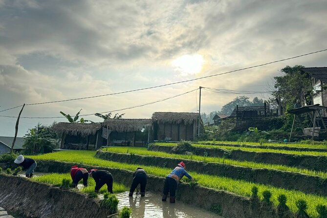 From Ha Noi: 3 Days and 2 Nights Sapa Trek with Local Guide - The Sum Up