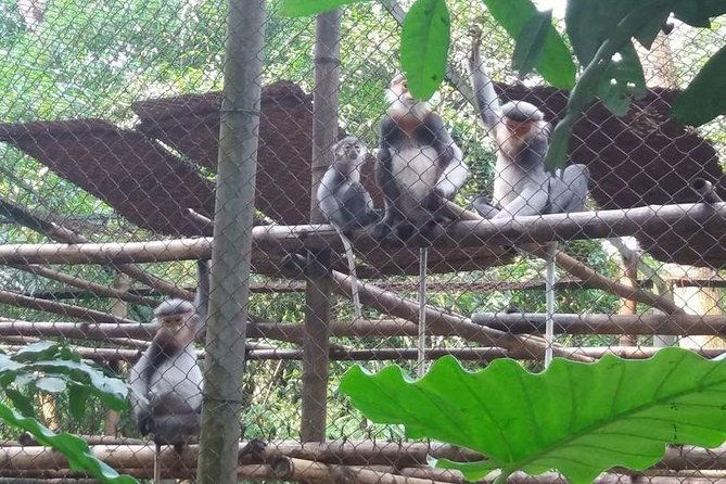From Hanoi: Cuc Phuong National Park Day Trip by Private Car - Who Would Love This Tour?