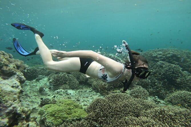 From Nusa Lembongan Manta Snorkeling Trips with Pickup Included - FAQ