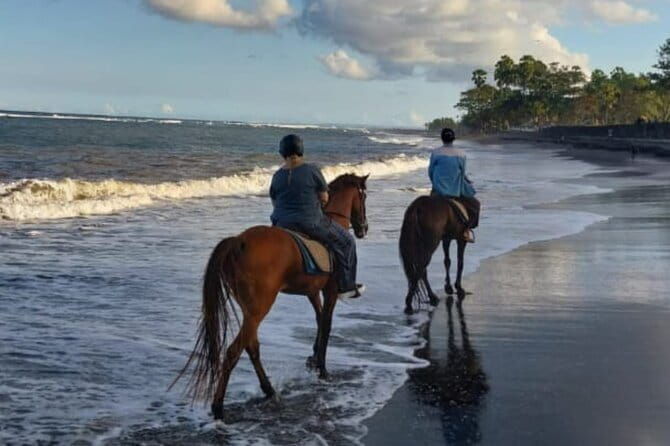 From Ubud 1 Hour Horse Riding at The Beach Experiences - Who Will Love This Experience?