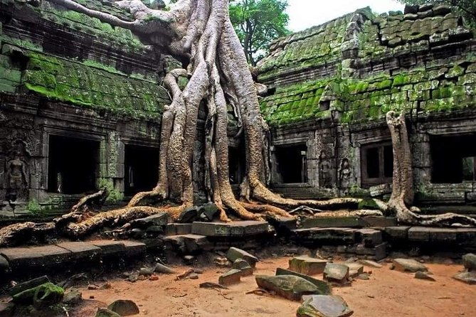 Full Day Angkor Complex by Tuk Tuk - (Optional Sunrise) - Practical Details: What You Need to Know