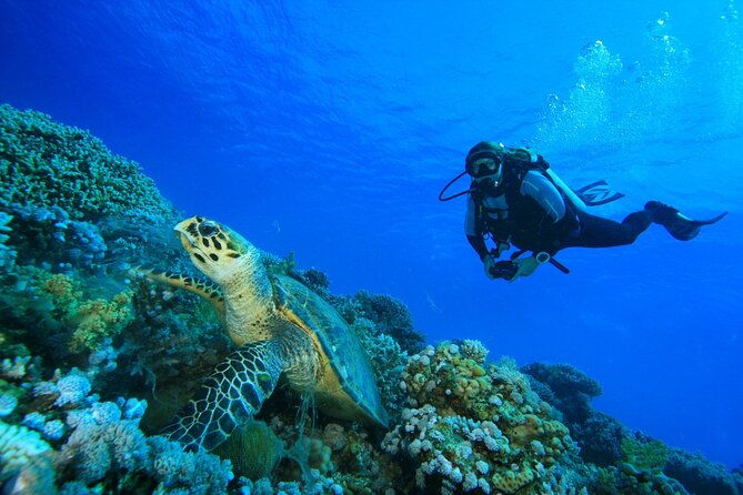 Full-Day Beginner Scuba Course with Private Tuition, Racha Yai - Final Thoughts