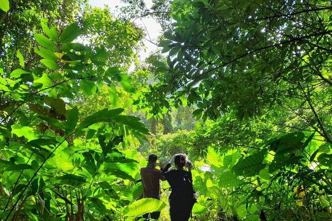 Full-Day Cuc Phuong National Park Hiking Tour - Who Is This Tour Perfect For?