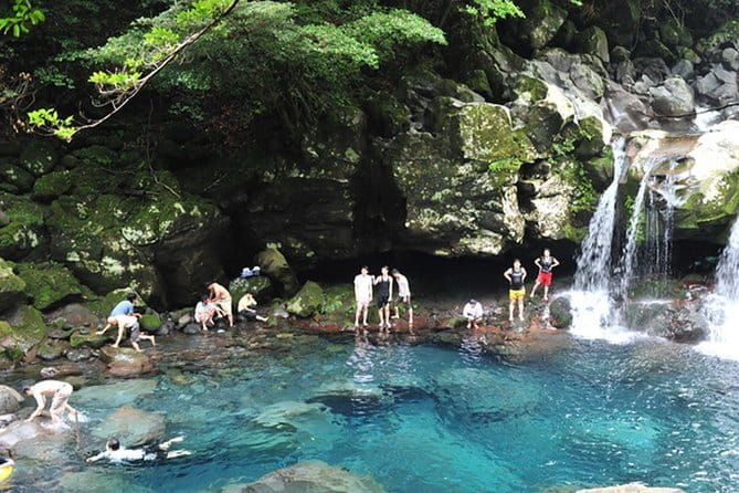 Full Day Customizable Jeju Private Tour with licensed tour guide - Authentic Experiences from Reviewers