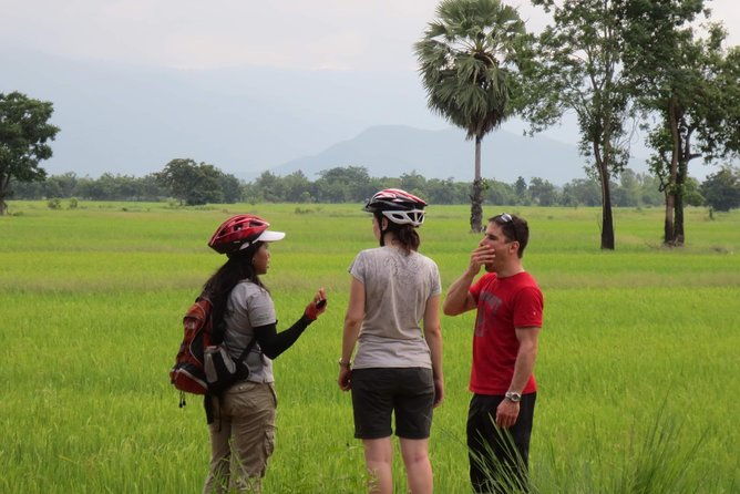 Full Day Cycling tour to Sukhothai Historical Park - Transfers & Convenience