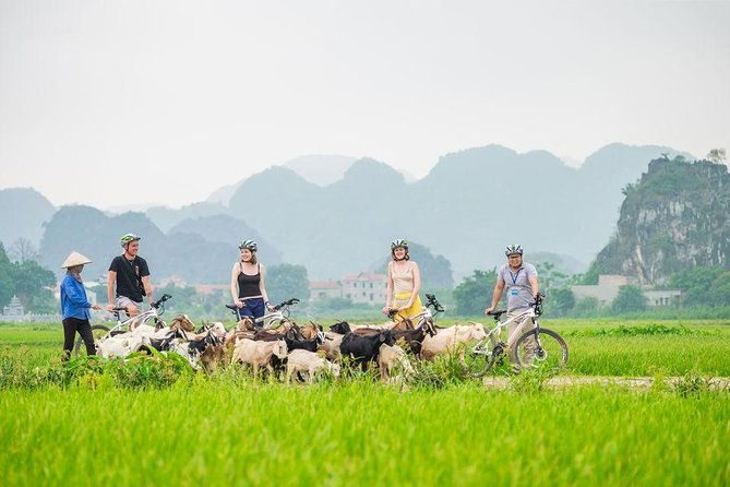 Full day Hoa Lu - Tam Coc sampan boat and countryside biking trip - Practical Considerations and Overall Value