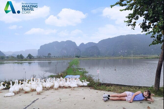 Full Day Private Tour in Ninh Binh(Trang An-Bich Dong-Mua Cave) - Frequently Asked Questions