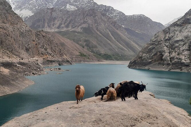 Full Day Private Tour in Seven Lakes from Samarkand - The Sum Up