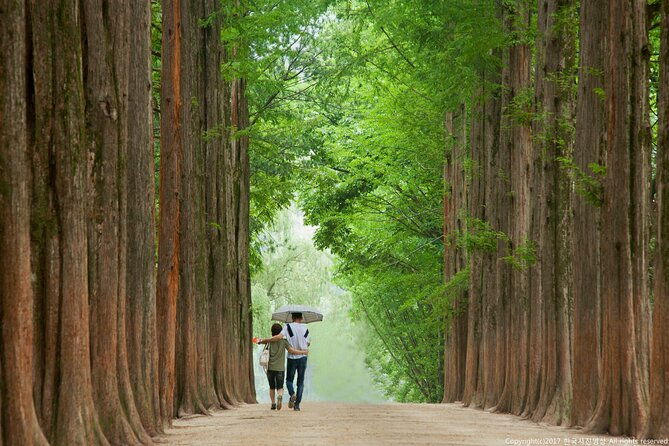 Full Day Private Tour Nami Island, Garden & Petite France - FAQ