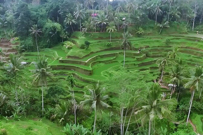 Full Day Private Tour to Ubud Waterfall and Uluwatu Sunset - FAQ