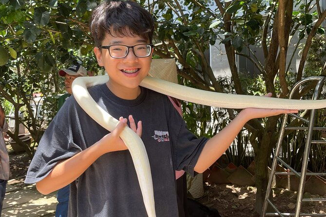 Full-Day Tour in Mekong Delta with Pick Up in Central District 1 - FAQs