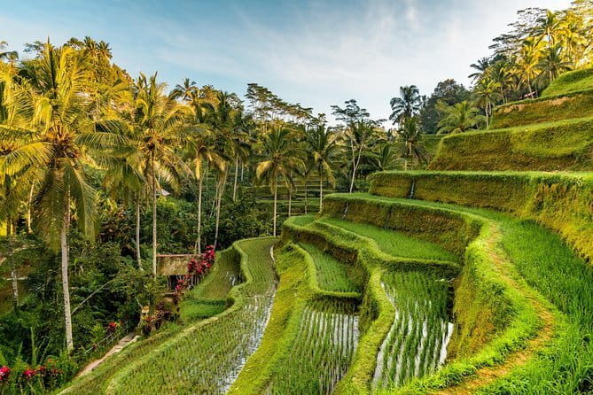 Full Day Tour to Water Temples UNESCO Rice Terraces in Bali - Final Thoughts