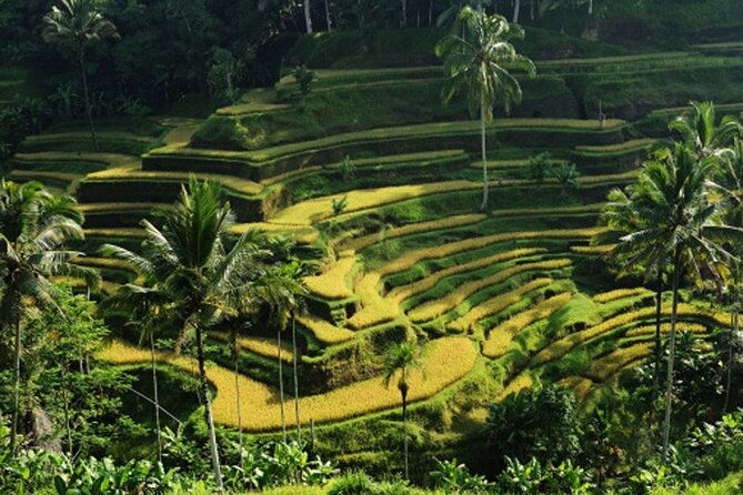 Full Day  Ubud Art Village and Mount Batur Kintamani with Lunch - The Sum Up