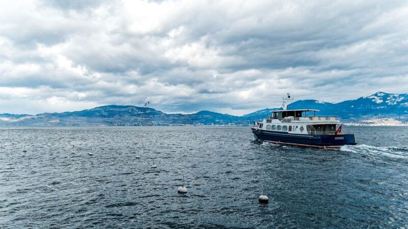 Geneva: 50-Minute Lake Geneva Cruise - Practical Tips for Your Cruise
