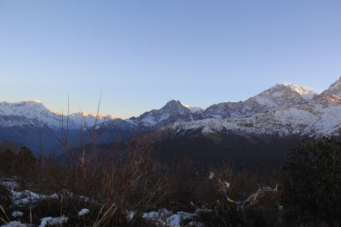 Ghorepani Poonhill Trek from Pokhara - 4 Days - Final Thoughts: Who Will Love This Trek?