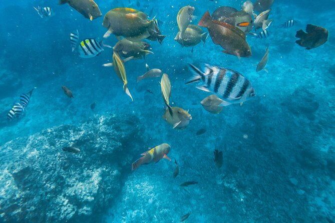 Gili Nanggu,Gili Kedis & Gili Sudak Hopping island & Snorkeling Tour - FAQ