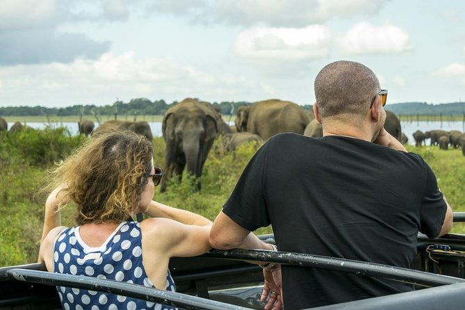 GO WILD! Double Safari Day Trip (Yala & Udawalawe) - Private & All Inclusive - Who Will Love This Experience?