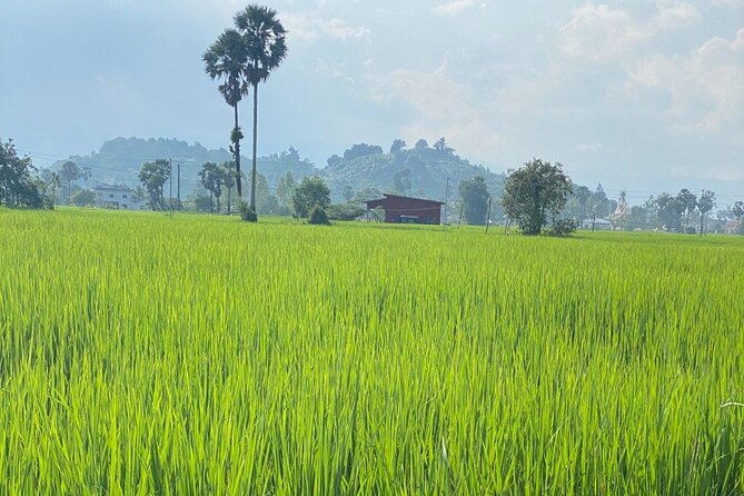 Half-Day Adventure to the Pepper Farm by Scooter - Practical Tips to Maximize Your Experience
