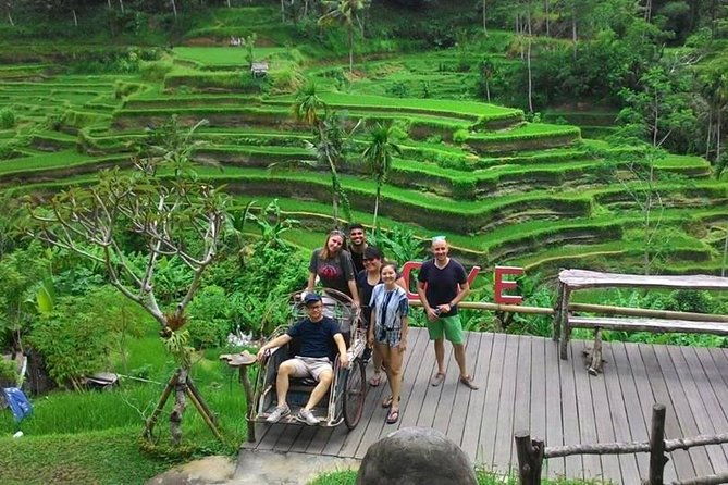 Half-Day Electric Cycling Tour of Ubud - The Sum Up
