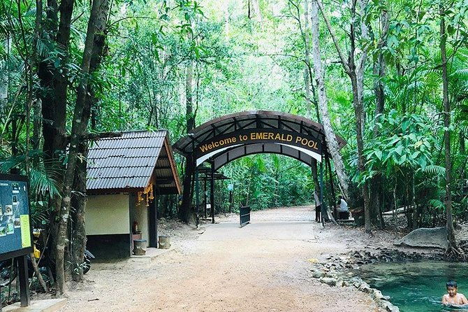 Half Day Jungle Tour to Emerald pool and Krabi Hot Spring - Final Thoughts: Who Is This Tour Best For?