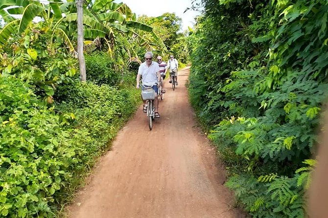 Half day morning bicycle tour to Explore local livelihood and test local snacks - Who Will Love This Tour?