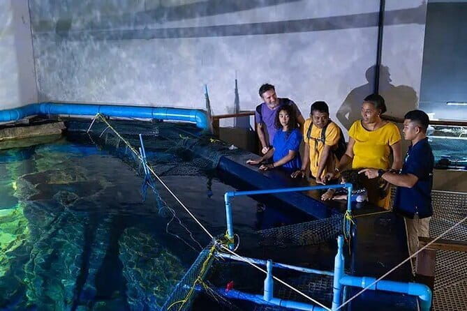 Half Day River Monster Tour with Private Guide in Siem Reap - The Sum Up