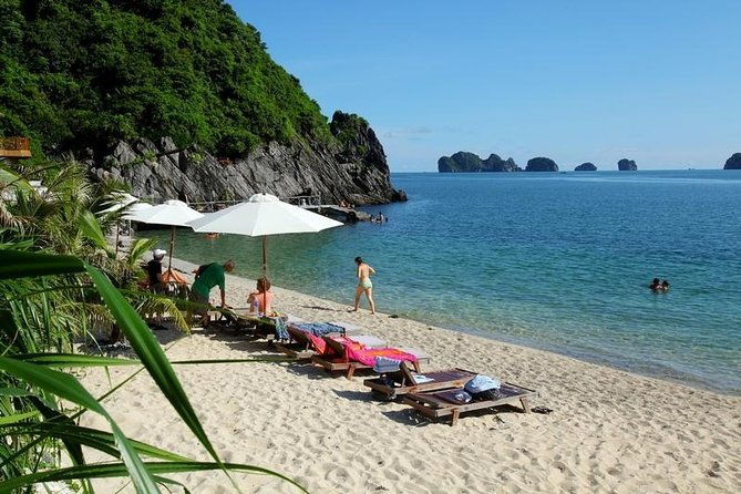 Halong Bay Full Day Tour With Highway Transfer - Who Will Love This Tour?