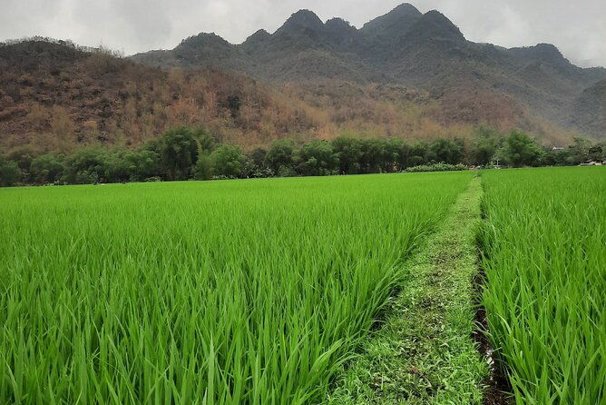 Hanoi Airport car transfer & Vice versa - FAQ: Your Practical Questions Answered