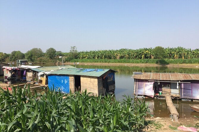 Hanoi Countryside in Banana Island - Top Tours & Activities - FAQs