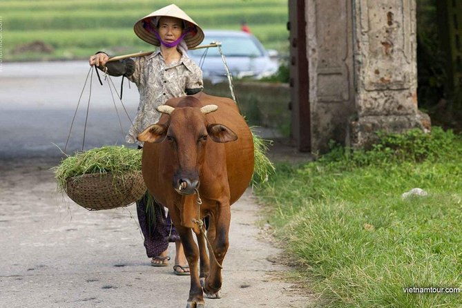 Hanoi: Duong Lam Historical Village Private Day Tour - FAQ