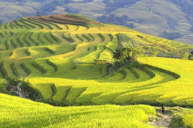 Hanoi-Sapa Trek 2 days 2 nights in Hotel with small group - Why Choose This Tour?