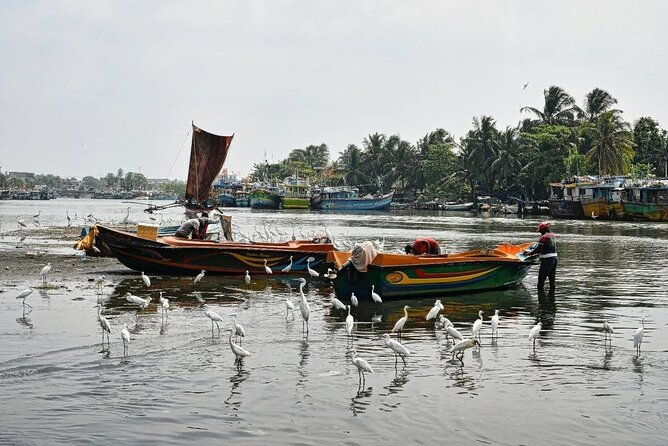 Heritage & Cultural Walk Around Negombo - The Sum Up