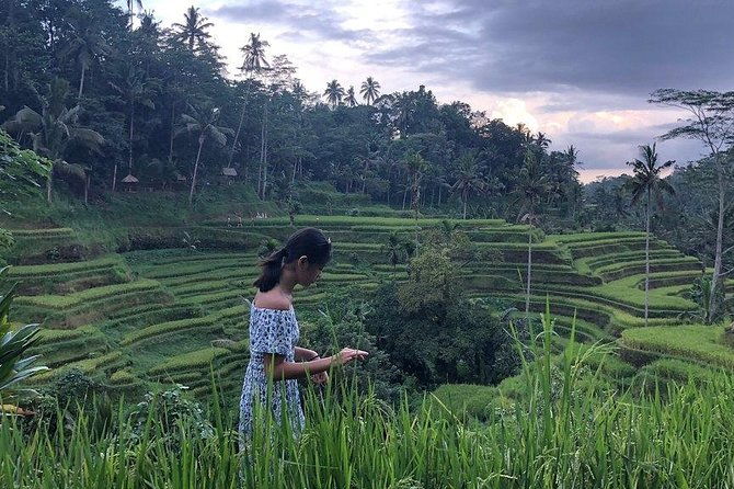 Hire Bali Driver for 10-hour (Bali as You Please) - The Sum Up