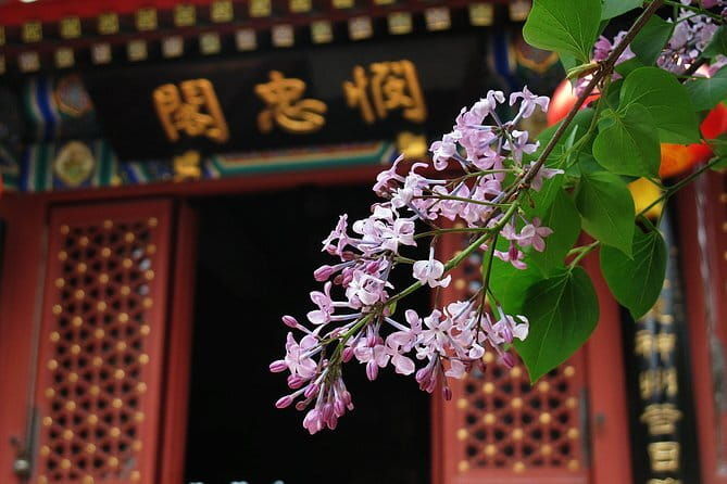 Imperial Splendor: Private 2-Day Beijing Discovery Tour - FAQ