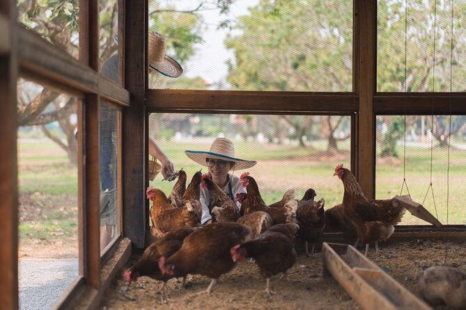 Indulge in Authentic Thai Flavors and Serene Organic Farm (Full Day Course) - FAQ