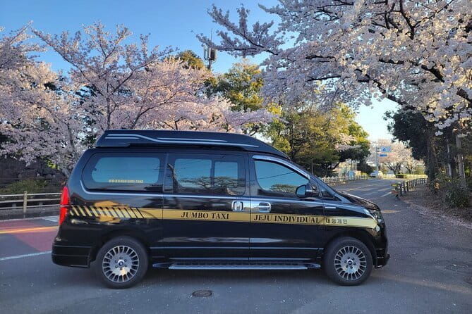 Jeju BTS & K-drama Small Group Day Tour including Snoopy Garden - In Summary