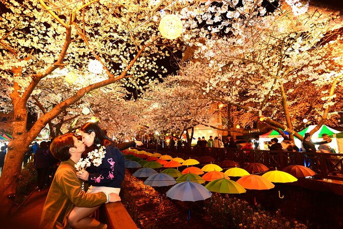 Jinhae Cherry Blossom Day trip from Busan - A Spring Adventure! - The Sum Up