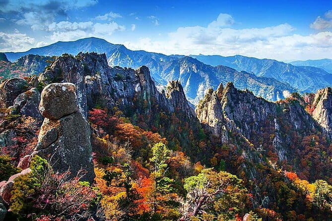 Jinhae Cherry Blossom-Yeojwacheon & Gyeonghwa St. Tour from Seoul - Considerations and Practical Tips
