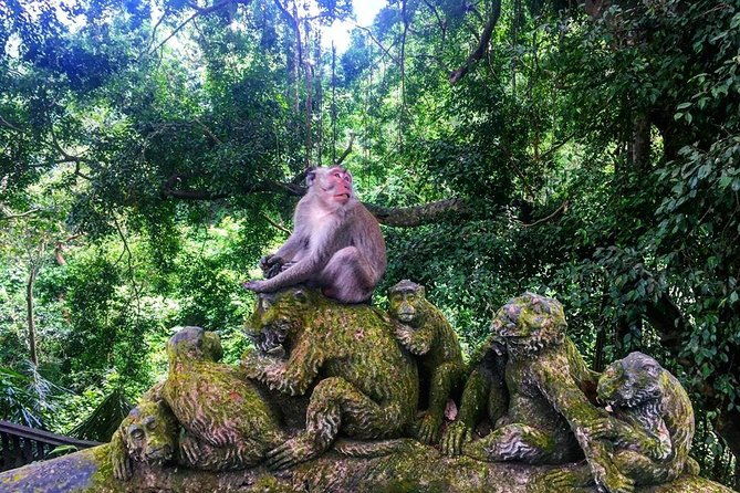 Jungle Swing - Volcano - Water Temple - Monkey Forest and Waterfall Tour - FAQ