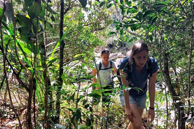 Kampot Day Tour "Bokor National Park" - Who Is This Tour Best For?
