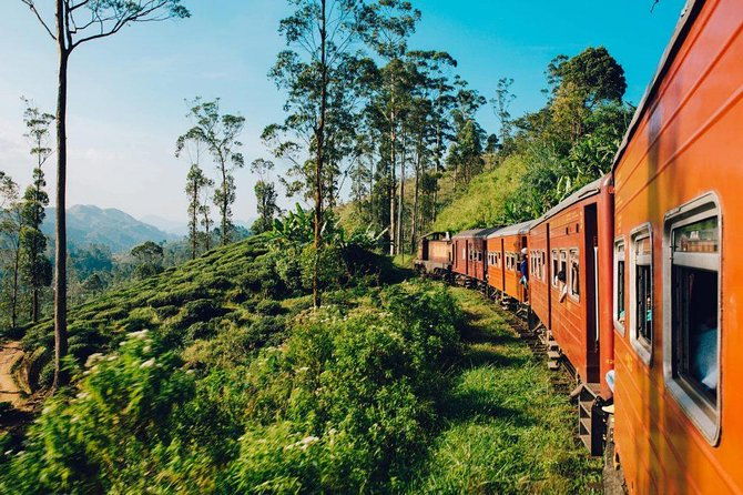 Kandy to Ella Train Tickets - Reserved Seats - What Travelers Say: Authentic Experiences and Tips
