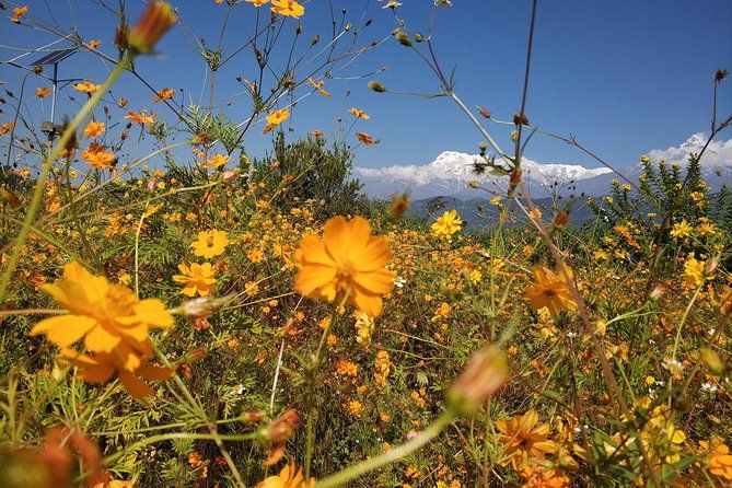 Kathmandu and Pokhara: A Journey Through Nepal's Cultural and Natural Wonders - Who Is This Tour Best Suited For?