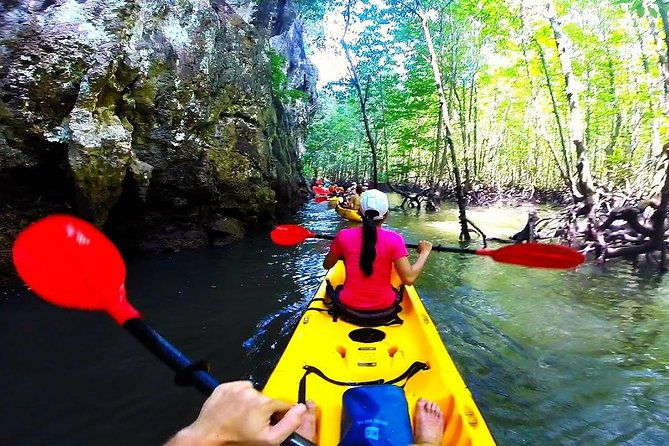 Kayaking in Ao Thalane - Discover the Mangrove life - Final Thoughts