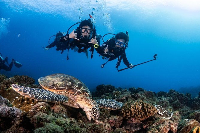 Kenting, TaiwanPADI Basic Diving License CourseTaiwan Diving Open Water Course - The Sum Up